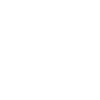 Globe icon
