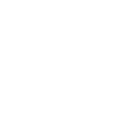 Lightbulb icon