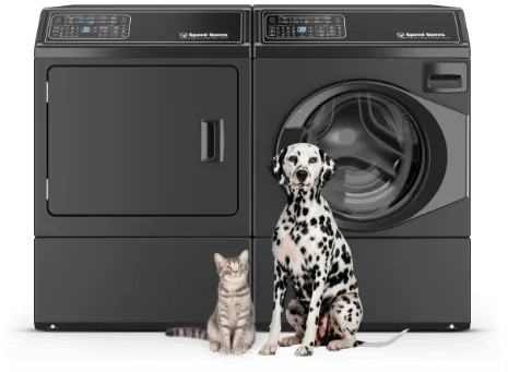 cat and a dog sitting in front of home washer and dryer